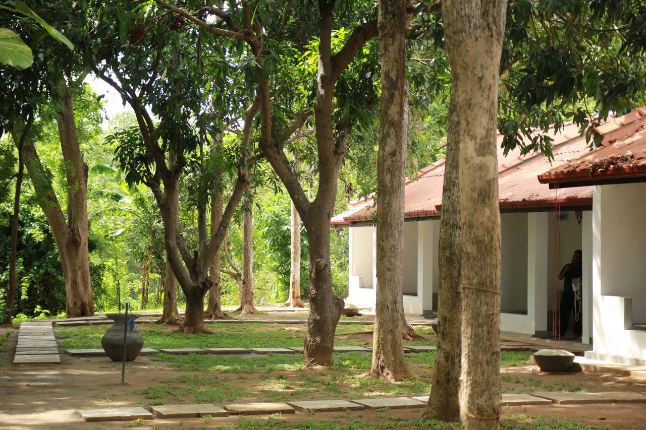 Dambulu Oya Family Park Hotel Dambulla Bagian luar foto