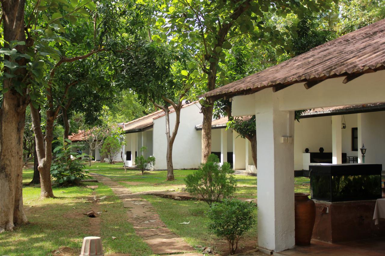 Dambulu Oya Family Park Hotel Dambulla Bagian luar foto