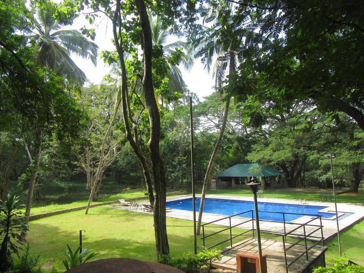 Dambulu Oya Family Park Hotel Dambulla Bagian luar foto
