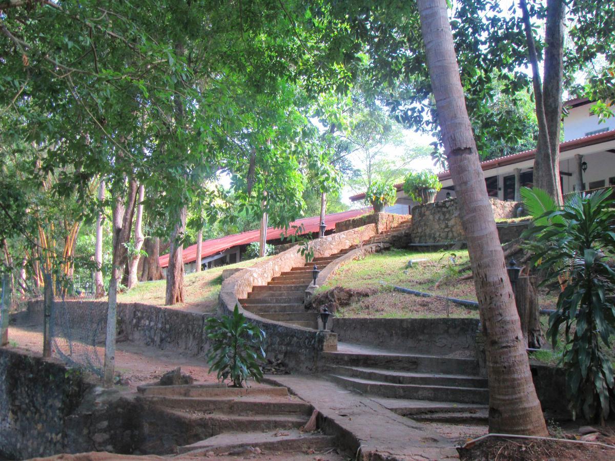 Dambulu Oya Family Park Hotel Dambulla Bagian luar foto