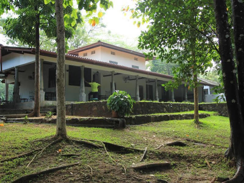 Dambulu Oya Family Park Hotel Dambulla Bagian luar foto