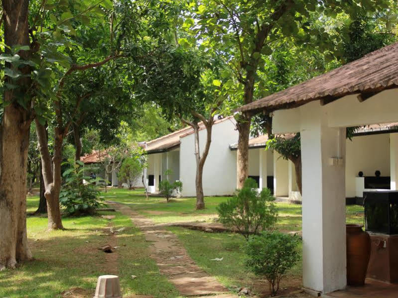 Dambulu Oya Family Park Hotel Dambulla Bagian luar foto