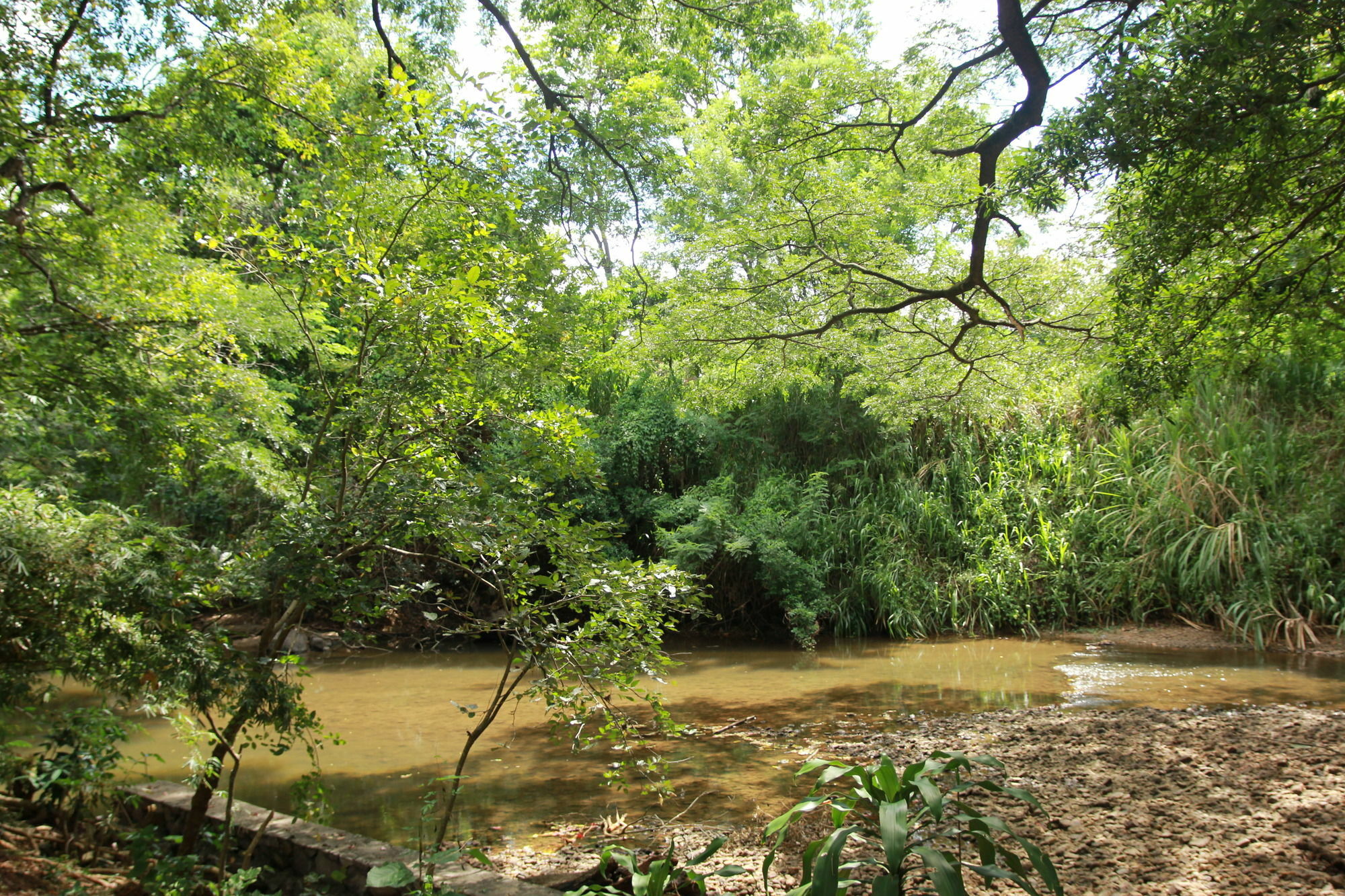 Dambulu Oya Family Park Hotel Dambulla Bagian luar foto