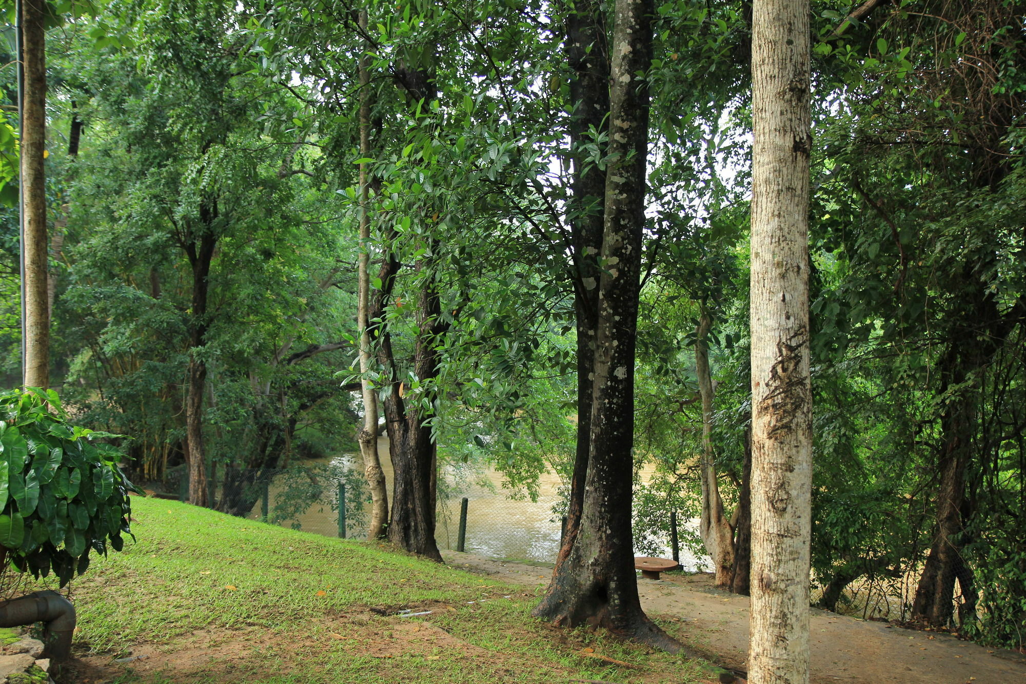 Dambulu Oya Family Park Hotel Dambulla Bagian luar foto