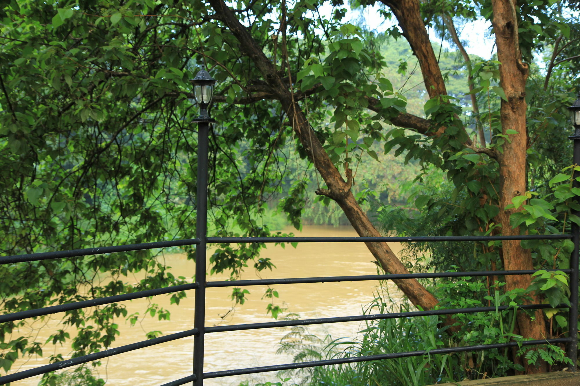 Dambulu Oya Family Park Hotel Dambulla Bagian luar foto
