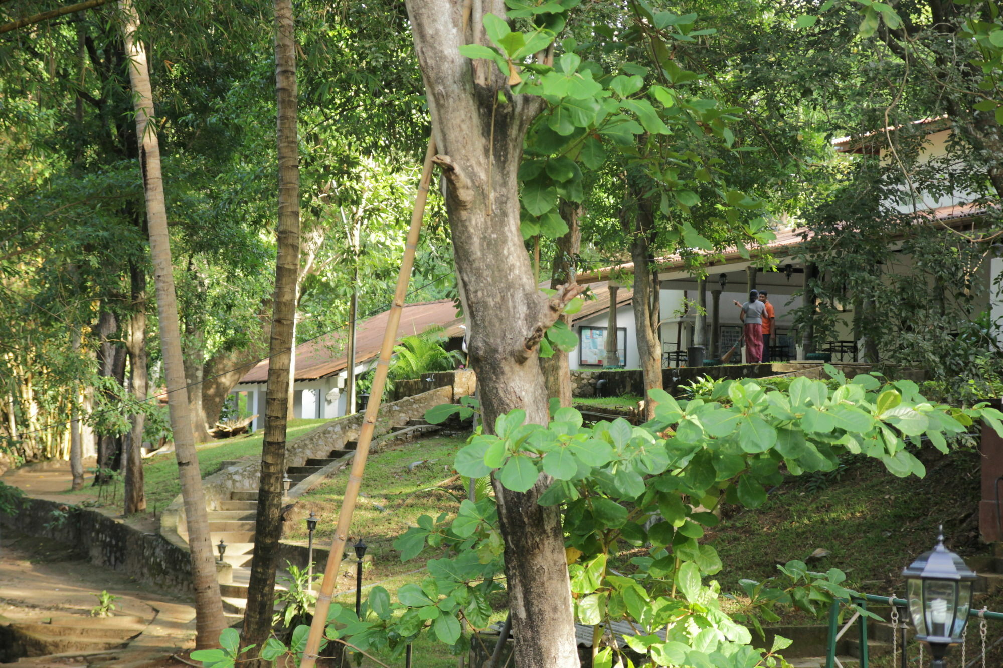 Dambulu Oya Family Park Hotel Dambulla Bagian luar foto